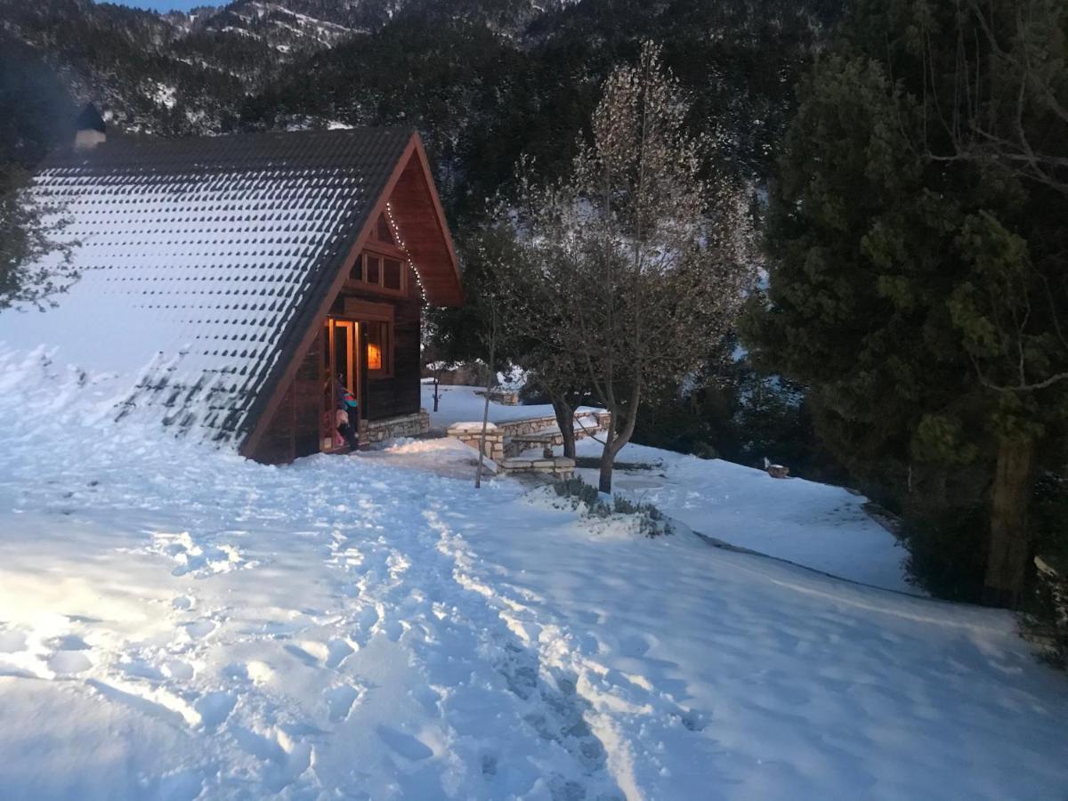 Chalet In The Forest カラブリタ エクステリア 写真