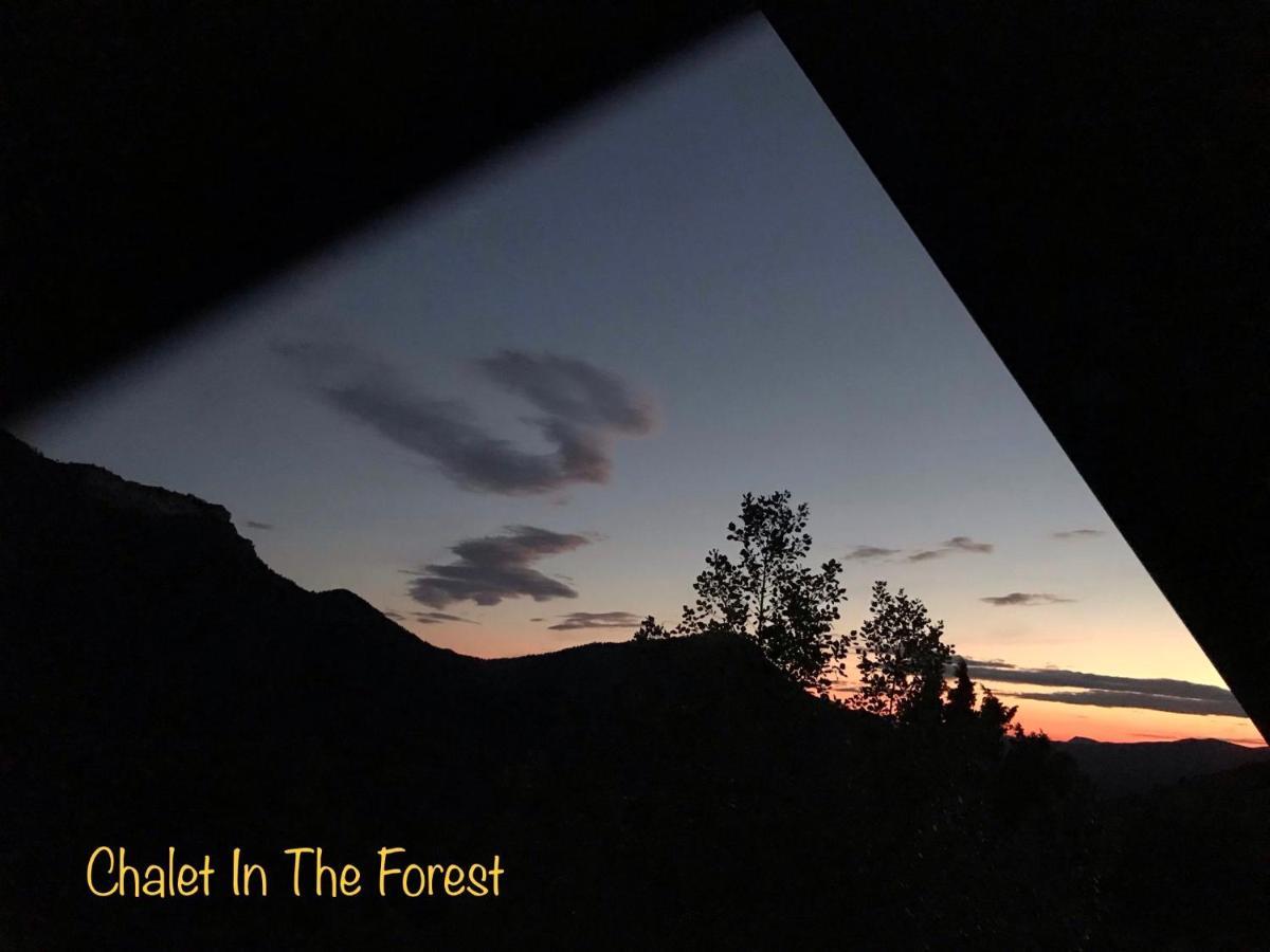 Chalet In The Forest カラブリタ エクステリア 写真