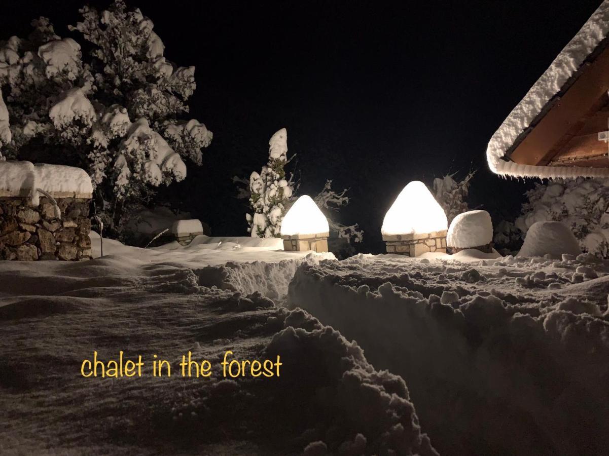 Chalet In The Forest カラブリタ エクステリア 写真