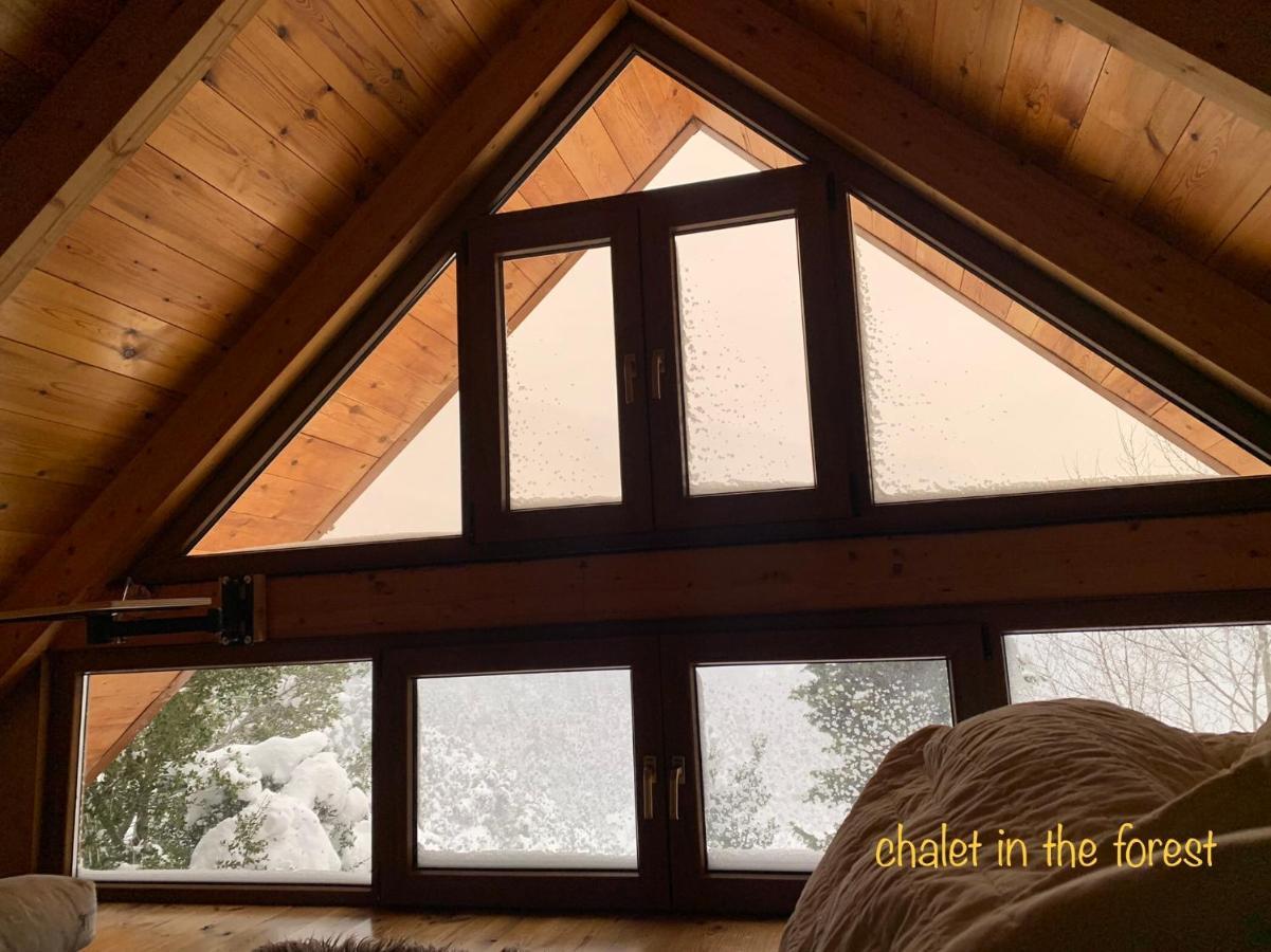 Chalet In The Forest カラブリタ エクステリア 写真
