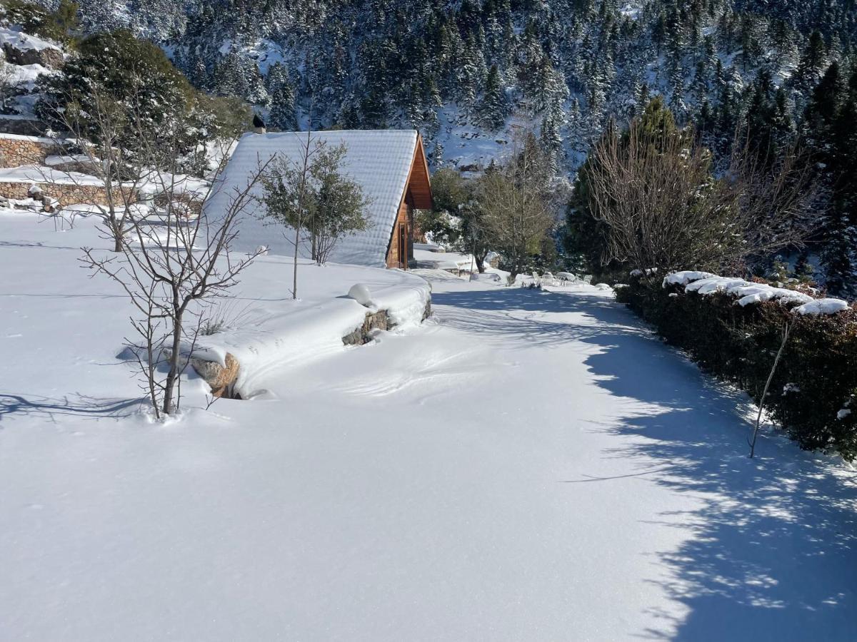 Chalet In The Forest カラブリタ エクステリア 写真