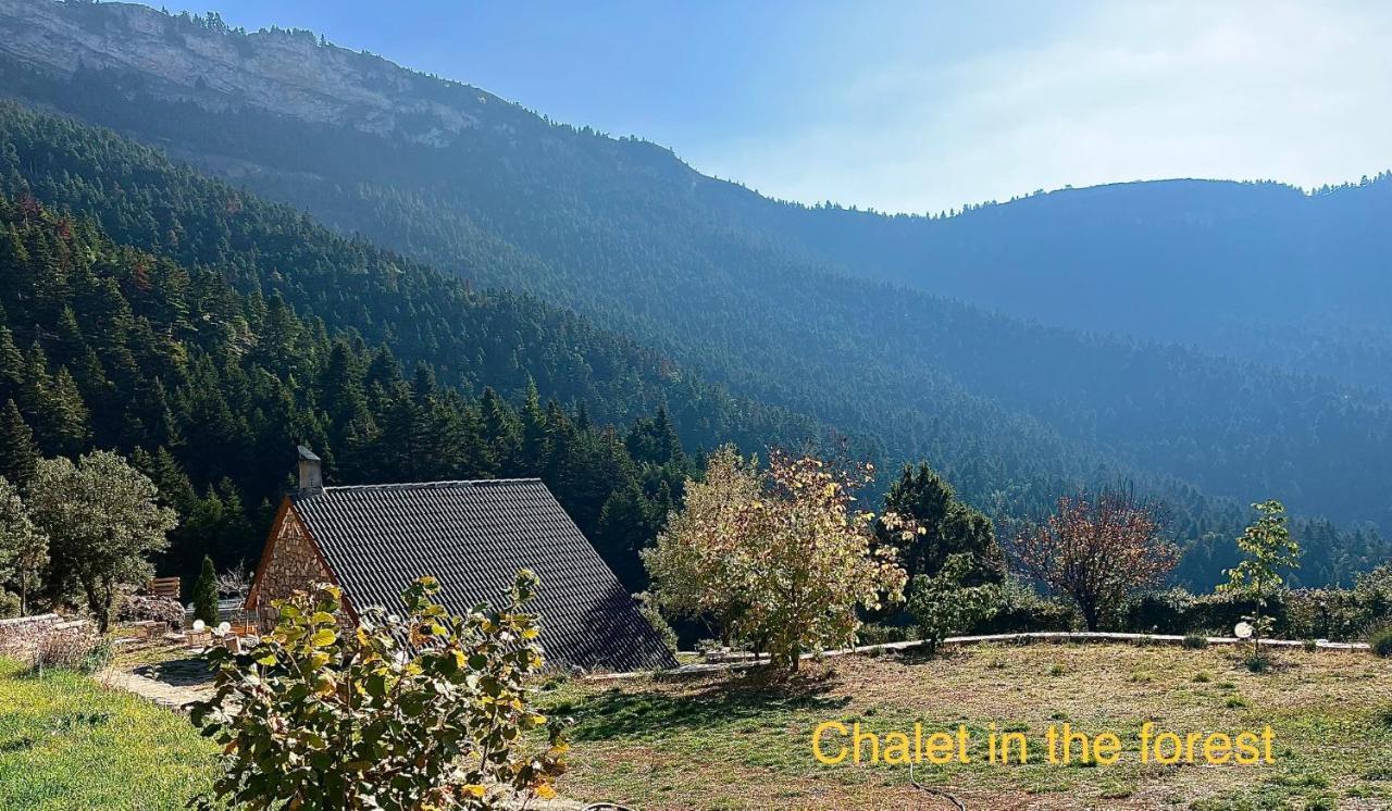 Chalet In The Forest カラブリタ エクステリア 写真