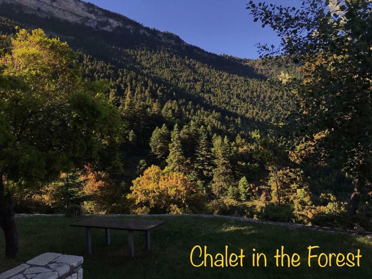 Chalet In The Forest カラブリタ エクステリア 写真