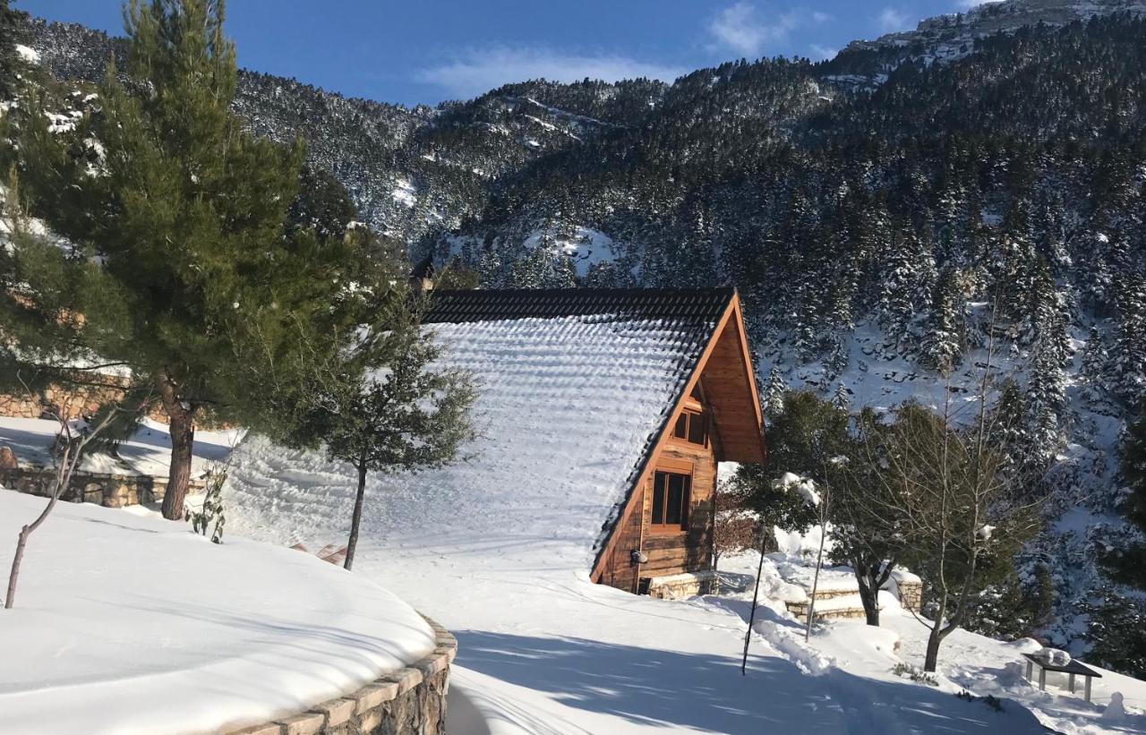 Chalet In The Forest カラブリタ エクステリア 写真