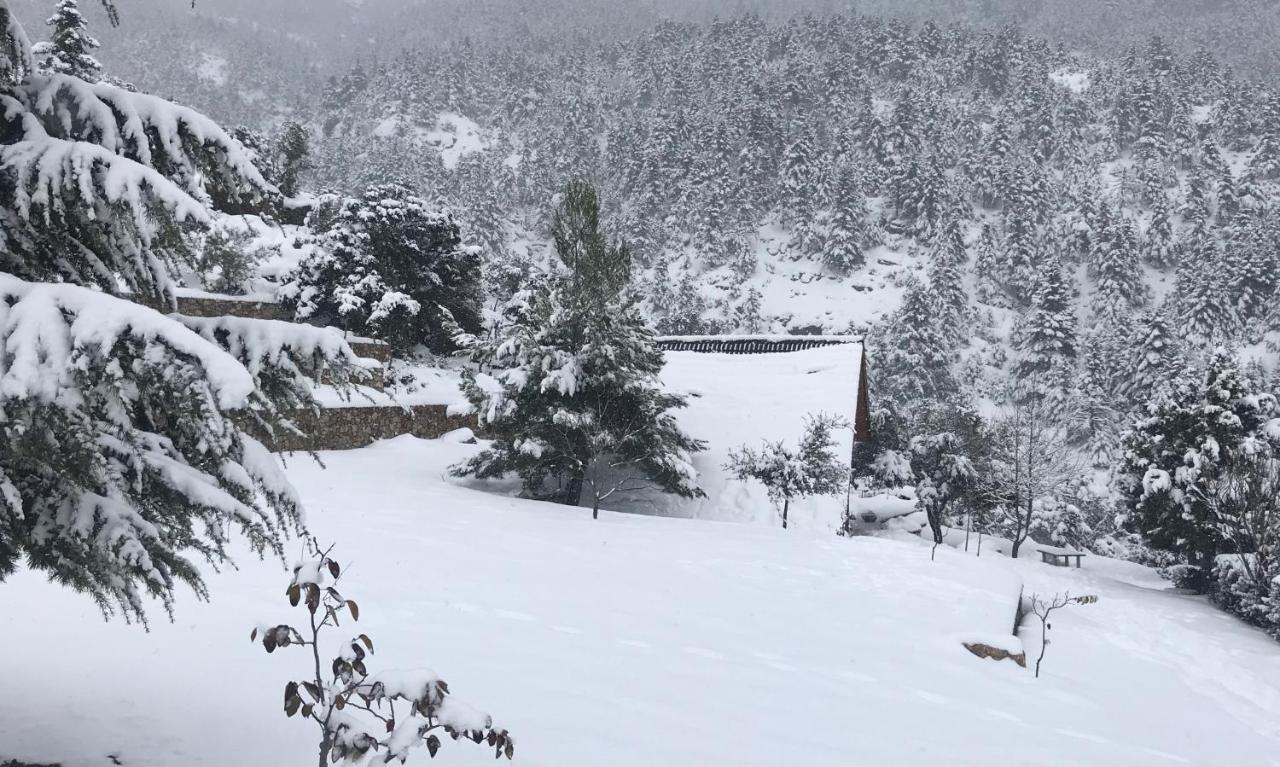 Chalet In The Forest カラブリタ エクステリア 写真