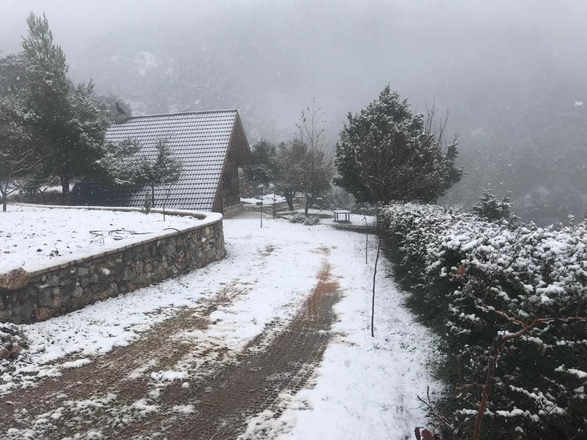 Chalet In The Forest カラブリタ エクステリア 写真
