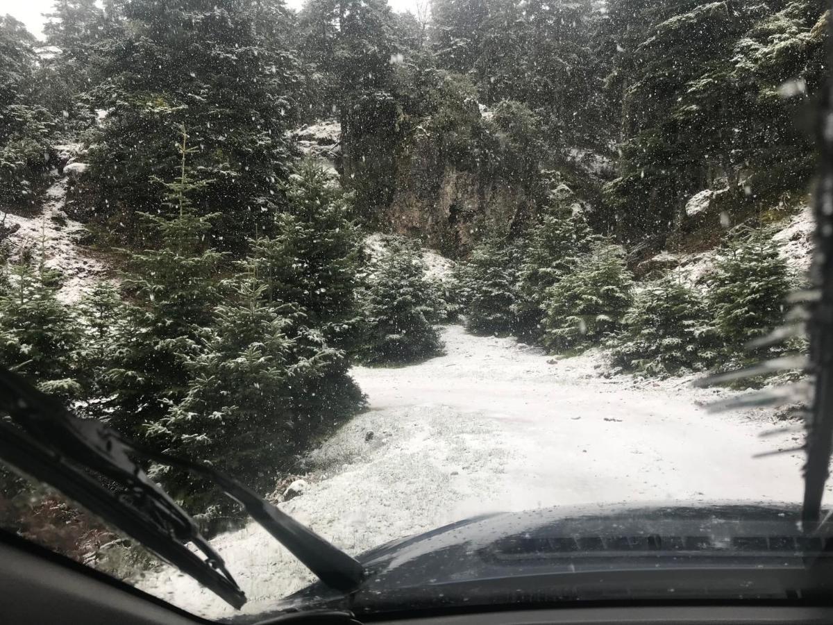 Chalet In The Forest カラブリタ エクステリア 写真