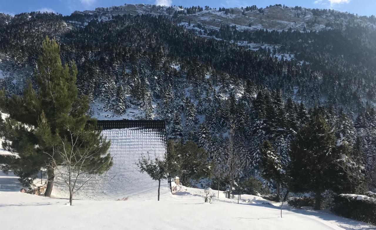 Chalet In The Forest カラブリタ エクステリア 写真